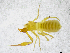  ( - BGE_00502_C11)  @11 [ ] Copyright (2024) Unspecified Croatian Biospeleological Society
