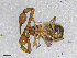  ( - BGE_00506_A05)  @11 [ ] Copyright (2024) Unspecified Croatian Biospeleological Society