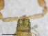  ( - BGE_00506_A06)  @11 [ ] Copyright (2024) Unspecified Croatian Biospeleological Society