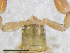  ( - BGE_00506_A07)  @11 [ ] Copyright (2024) Unspecified Croatian Biospeleological Society