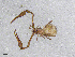  ( - BGE_00506_A09)  @11 [ ] Copyright (2024) Unspecified Croatian Biospeleological Society