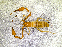 ( - BGE_00506_A12)  @11 [ ] Copyright (2024) Unspecified Croatian Biospeleological Society