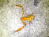  ( - BGE_00506_B01)  @11 [ ] Copyright (2024) Unspecified Croatian Biospeleological Society