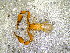  ( - BGE_00506_B06)  @11 [ ] Copyright (2024) Unspecified Croatian Biospeleological Society