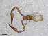  ( - BGE_00506_B08)  @11 [ ] Copyright (2024) Unspecified Croatian Biospeleological Society
