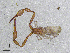  ( - BGE_00506_B08)  @11 [ ] Copyright (2024) Unspecified Croatian Biospeleological Society