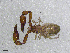  ( - BGE_00506_B12)  @11 [ ] Copyright (2024) Unspecified Croatian Biospeleological Society