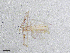  ( - BGE_00506_C03)  @11 [ ] Copyright (2024) Unspecified Croatian Biospeleological Society