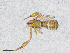  ( - BGE_00506_C11)  @11 [ ] Copyright (2024) Unspecified Croatian Biospeleological Society