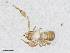  ( - BGE_00506_C11)  @11 [ ] Copyright (2024) Unspecified Croatian Biospeleological Society