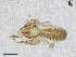  ( - BGE_00506_C12)  @11 [ ] Copyright (2024) Unspecified Croatian Biospeleological Society