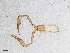  ( - BGE_00506_D06)  @11 [ ] Copyright (2027) Unspecified Croatian Biospeleological Society