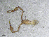  ( - BGE_00506_D06)  @11 [ ] Copyright (2028) Unspecified Croatian Biospeleological Society