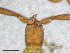  ( - BGE_00506_D08)  @11 [ ] Copyright (2032) Unspecified Croatian Biospeleological Society
