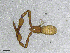  ( - BGE_00506_D08)  @11 [ ] Copyright (2033) Unspecified Croatian Biospeleological Society