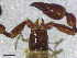  ( - BGE_00506_D09)  @11 [ ] Copyright (2024) Unspecified Croatian Biospeleological Society