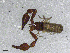  ( - BGE_00506_D09)  @11 [ ] Copyright (2024) Unspecified Croatian Biospeleological Society