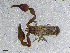  ( - BGE_00506_D09)  @11 [ ] Copyright (2024) Unspecified Croatian Biospeleological Society
