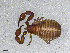  ( - BGE_00506_D10)  @11 [ ] Copyright (2024) Unspecified Croatian Biospeleological Society