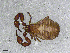  ( - BGE_00506_D10)  @11 [ ] Copyright (2024) Unspecified Croatian Biospeleological Society