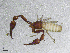  ( - BGE_00506_E02)  @11 [ ] Copyright (2024) Unspecified Croatian Biospeleological Society