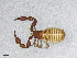  ( - BGE_00506_E04)  @11 [ ] Copyright (2024) Unspecified Croatian Biospeleological Society