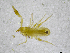  ( - BGE_00502_D03)  @11 [ ] Copyright (2024) Unspecified Croatian Biospeleological Society