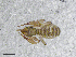  ( - BGE_00506_E07)  @11 [ ] Copyright (2024) Unspecified Croatian Biospeleological Society