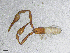  ( - BGE_00506_E10)  @11 [ ] Copyright (2024) Unspecified Croatian Biospeleological Society