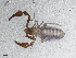  ( - BGE_00506_E11)  @11 [ ] Copyright (2024) Unspecified Croatian Biospeleological Society