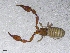  ( - BGE_00506_E12)  @11 [ ] Copyright (2024) Unspecified Croatian Biospeleological Society
