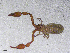  ( - BGE_00506_E12)  @11 [ ] Copyright (2024) Unspecified Croatian Biospeleological Society