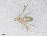  ( - BGE_00506_F01)  @11 [ ] Copyright (2024) Unspecified Croatian Biospeleological Society