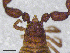  ( - BGE_00506_F02)  @11 [ ] Copyright (2024) Unspecified Croatian Biospeleological Society