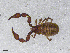  ( - BGE_00506_F02)  @11 [ ] Copyright (2024) Unspecified Croatian Biospeleological Society