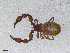  ( - BGE_00506_F02)  @11 [ ] Copyright (2024) Unspecified Croatian Biospeleological Society