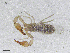  ( - BGE_00506_F03)  @11 [ ] Copyright (2024) Unspecified Croatian Biospeleological Society