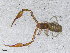  ( - BGE_00506_F06)  @11 [ ] Copyright (2024) Unspecified Croatian Biospeleological Society