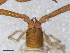  ( - BGE_00506_F07)  @11 [ ] Copyright (2024) Unspecified Croatian Biospeleological Society