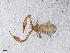  ( - BGE_00506_F07)  @11 [ ] Copyright (2024) Unspecified Croatian Biospeleological Society