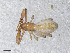  ( - BGE_00506_F09)  @11 [ ] Copyright (2024) Unspecified Croatian Biospeleological Society