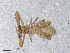  ( - BGE_00506_F09)  @11 [ ] Copyright (2024) Unspecified Croatian Biospeleological Society
