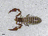  ( - BGE_00506_G01)  @11 [ ] Copyright (2024) Unspecified Croatian Biospeleological Society