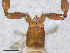  ( - BGE_00506_G04)  @11 [ ] Copyright (2024) Unspecified Croatian Biospeleological Society