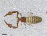  ( - BGE_00506_G04)  @11 [ ] Copyright (2024) Unspecified Croatian Biospeleological Society