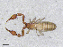  ( - BGE_00506_G04)  @11 [ ] Copyright (2024) Unspecified Croatian Biospeleological Society