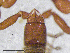  ( - BGE_00506_G05)  @11 [ ] Copyright (2024) Unspecified Croatian Biospeleological Society