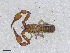  ( - BGE_00506_G05)  @11 [ ] Copyright (2024) Unspecified Croatian Biospeleological Society