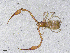  ( - BGE_00506_G06)  @11 [ ] Copyright (2024) Unspecified Croatian Biospeleological Society