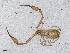  ( - BGE_00506_G06)  @11 [ ] Copyright (2024) Unspecified Croatian Biospeleological Society